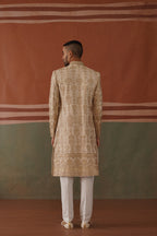 Rehan - Sherwani in Light Mehandi